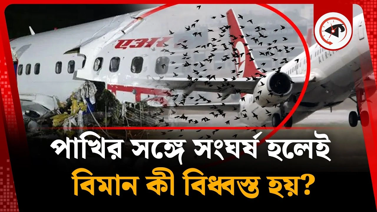 পাখির সঙ্গে সংঘর্ষ হলেই কী বিমান বিধ্বস্ত হয়?